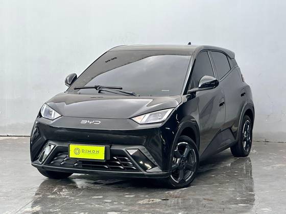 BYD DOLPHIN MINI 38 KW ELÉTRICO